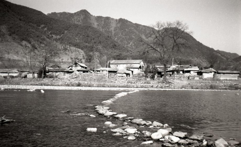 김운기 컬렉션이미지