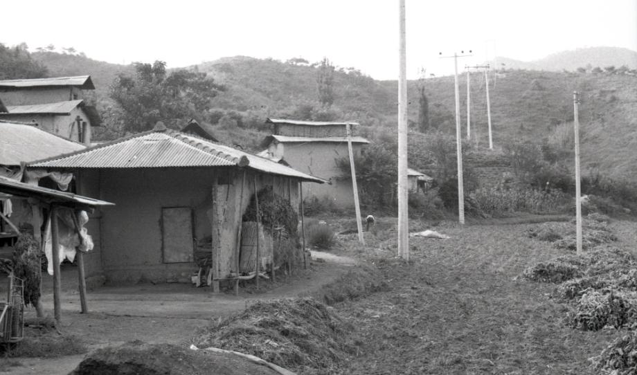 김운기 컬렉션이미지