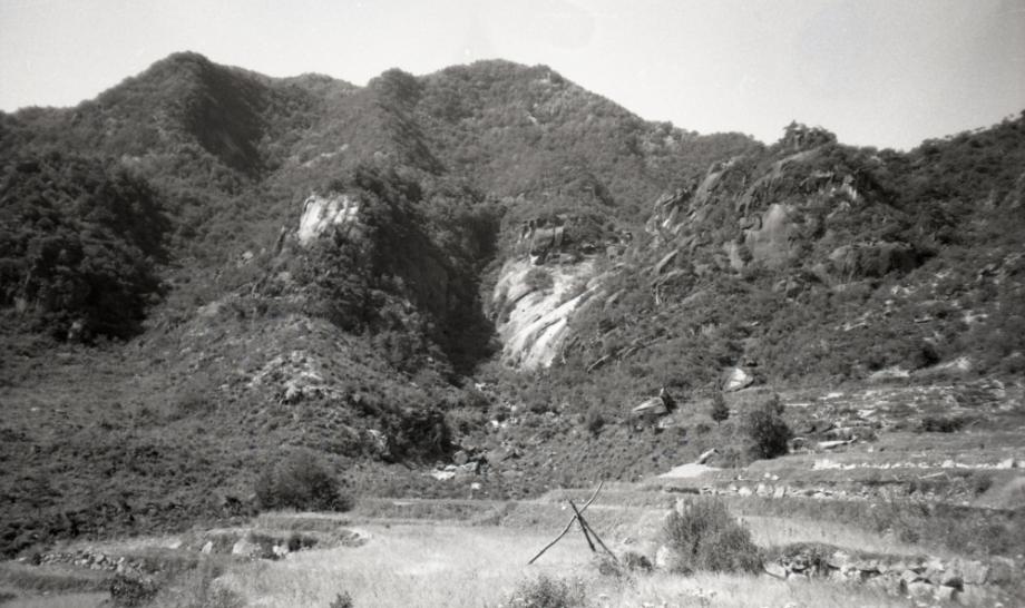 김운기 컬렉션이미지