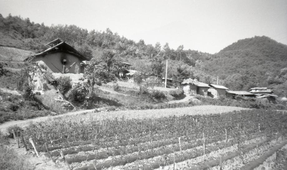 김운기 컬렉션이미지