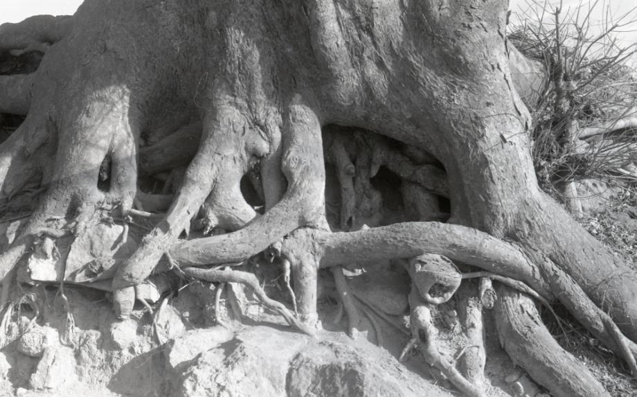 김운기 컬렉션이미지