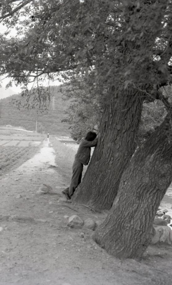 김운기 컬렉션이미지