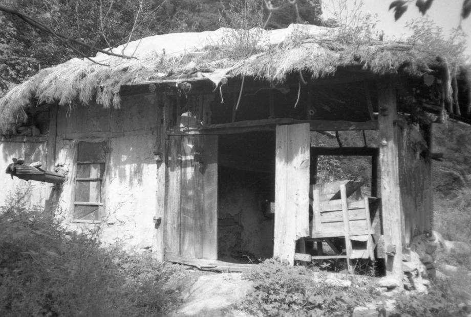 김운기 컬렉션이미지