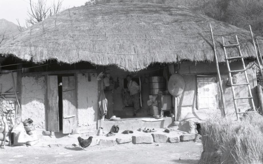 김운기 컬렉션이미지