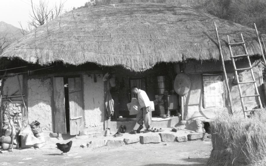 김운기 컬렉션이미지