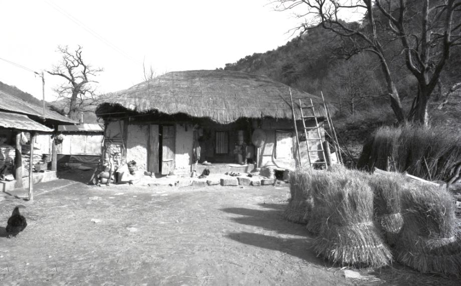 김운기 컬렉션이미지