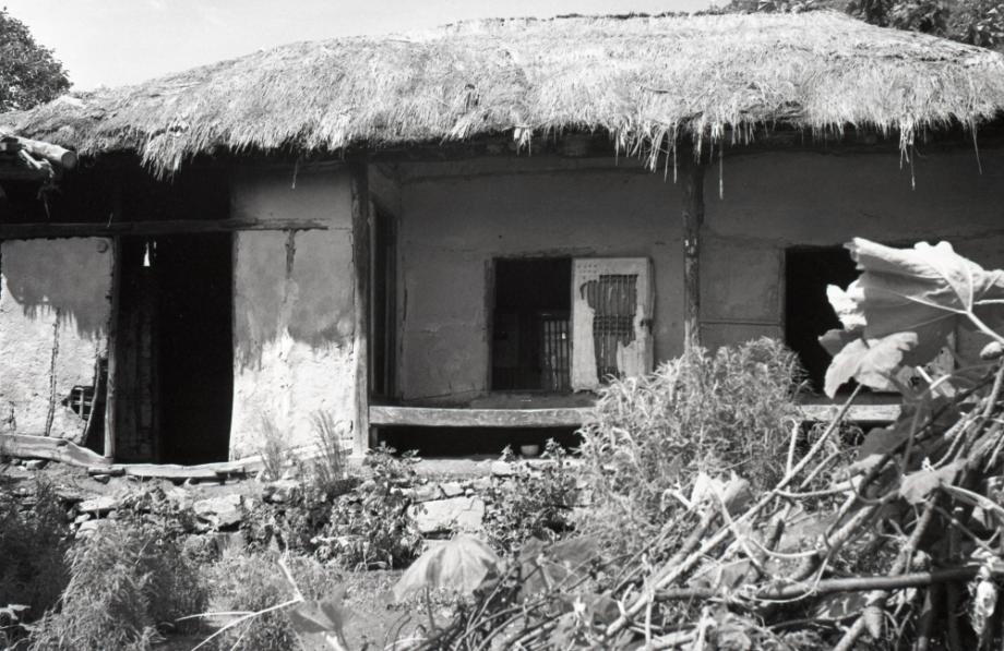 김운기 컬렉션이미지