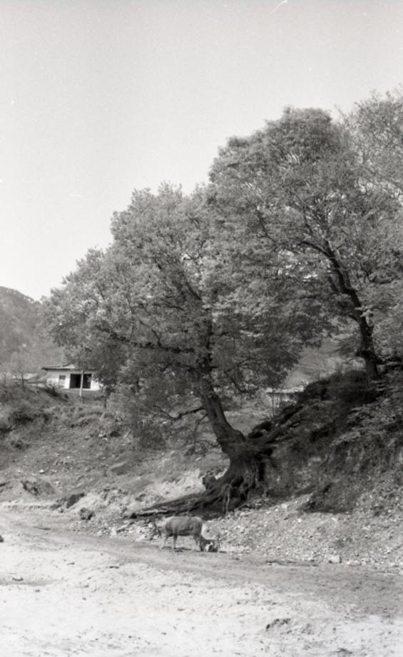 김운기 컬렉션이미지