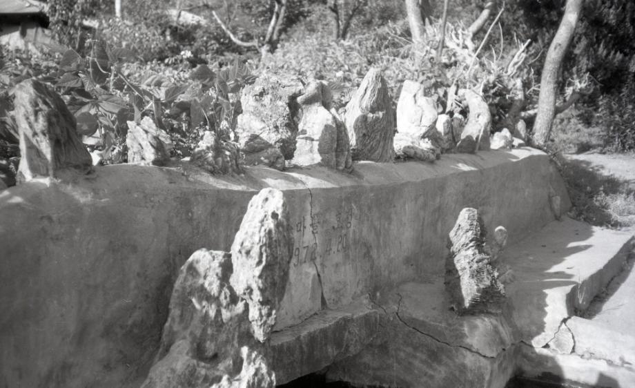 김운기 컬렉션이미지