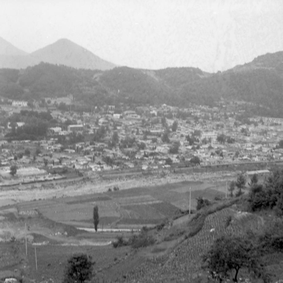 김운기 컬렉션이미지