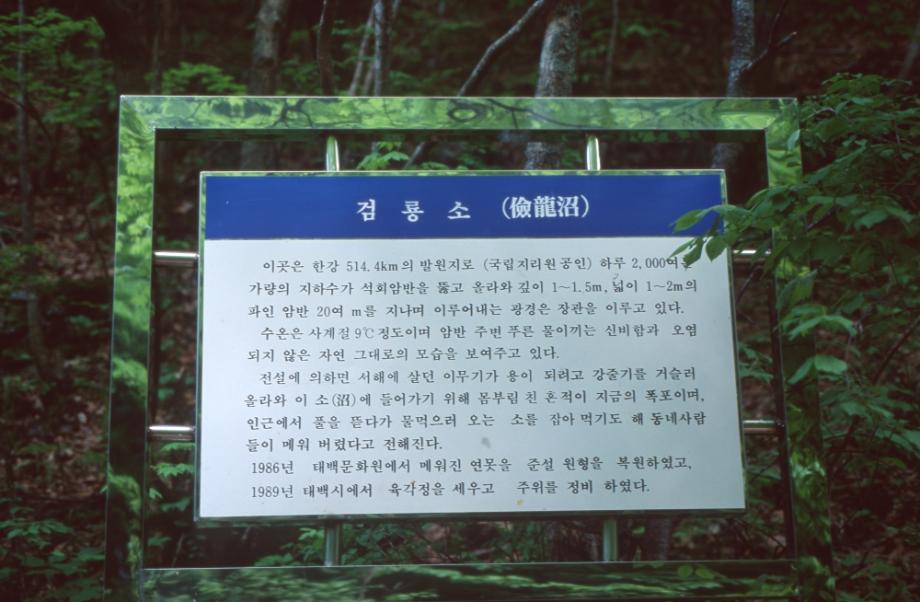 김운기 컬렉션이미지