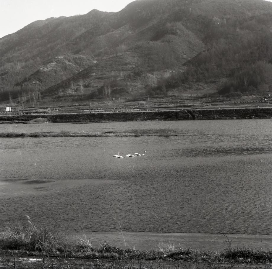 김운기 컬렉션이미지