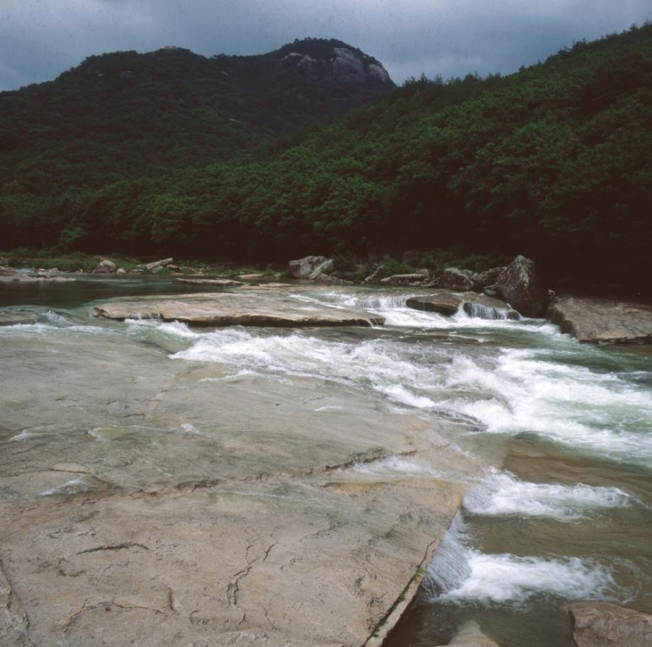 김운기 컬렉션이미지
