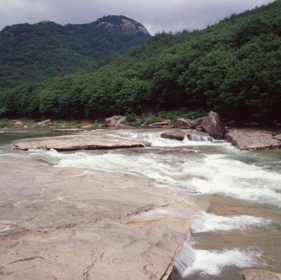 김운기 컬렉션이미지