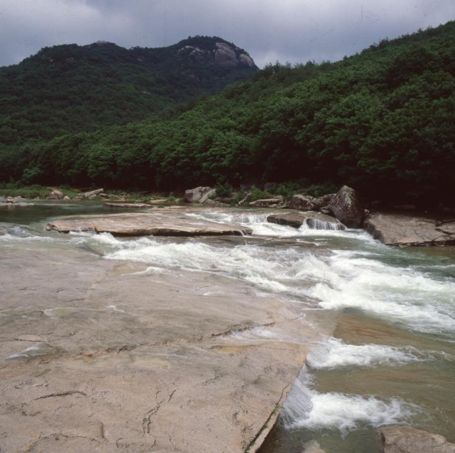 김운기 컬렉션이미지