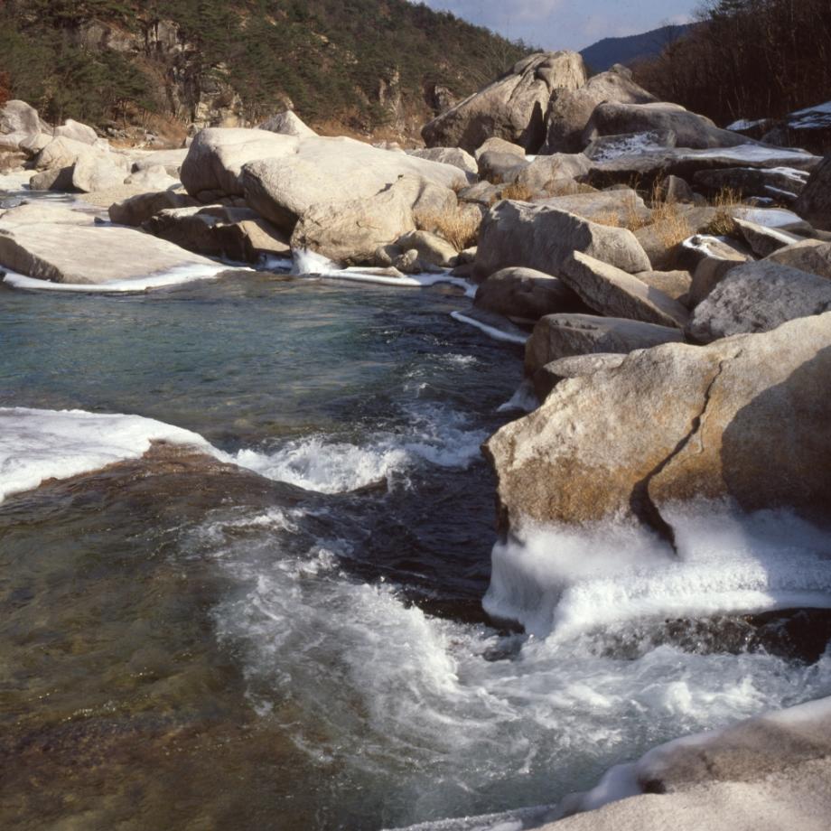 김운기 컬렉션이미지