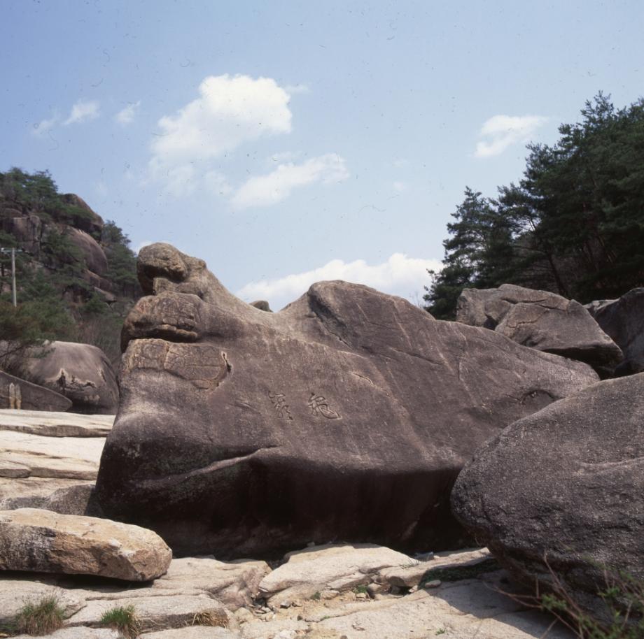 김운기 컬렉션이미지