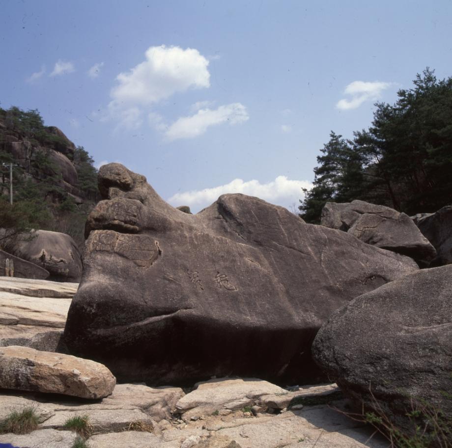 김운기 컬렉션이미지