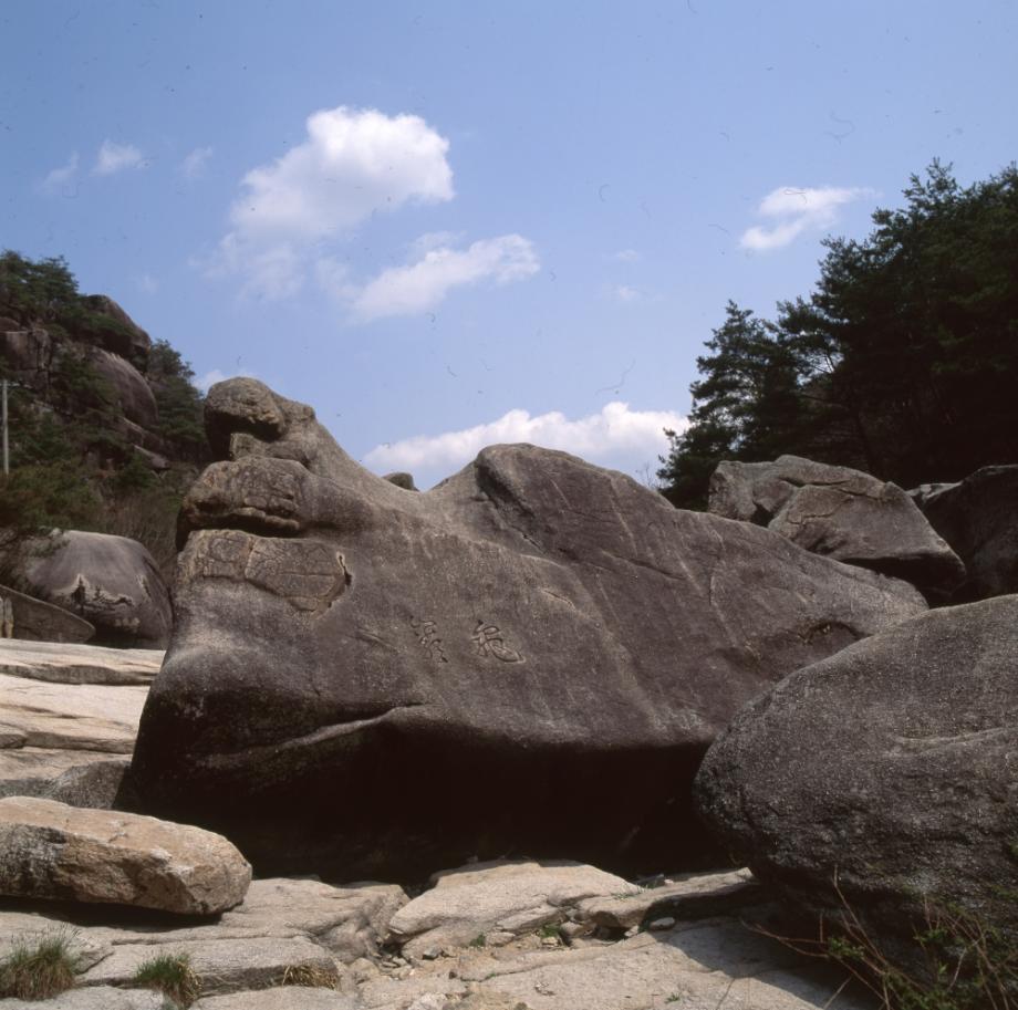 김운기 컬렉션이미지