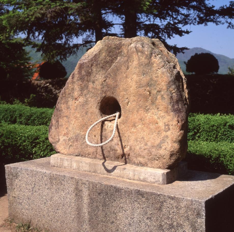 김운기 컬렉션이미지