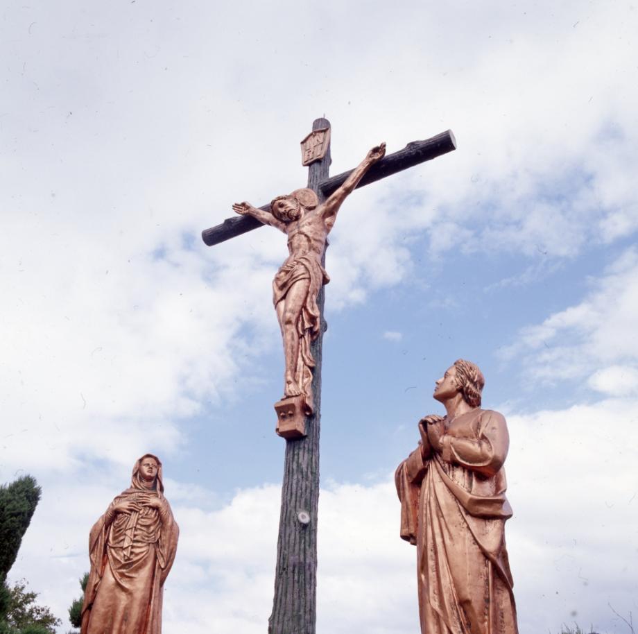 김운기 컬렉션이미지