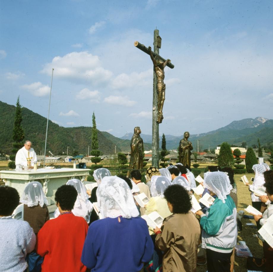 김운기 컬렉션이미지