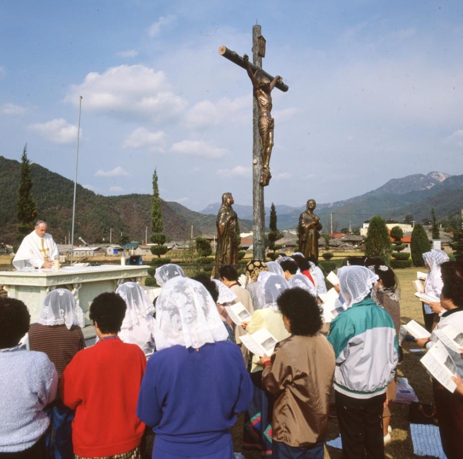 김운기 컬렉션이미지