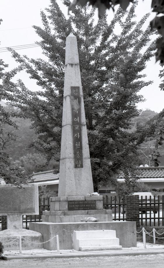 김운기 컬렉션이미지