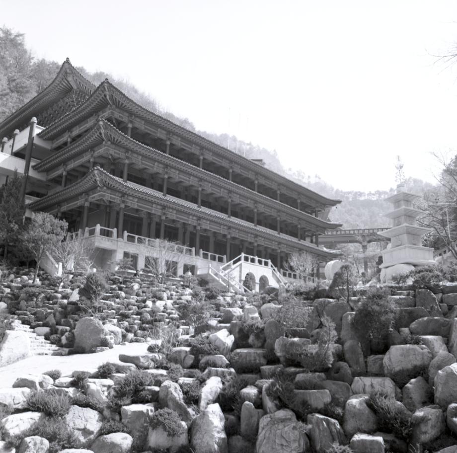 김운기 컬렉션이미지