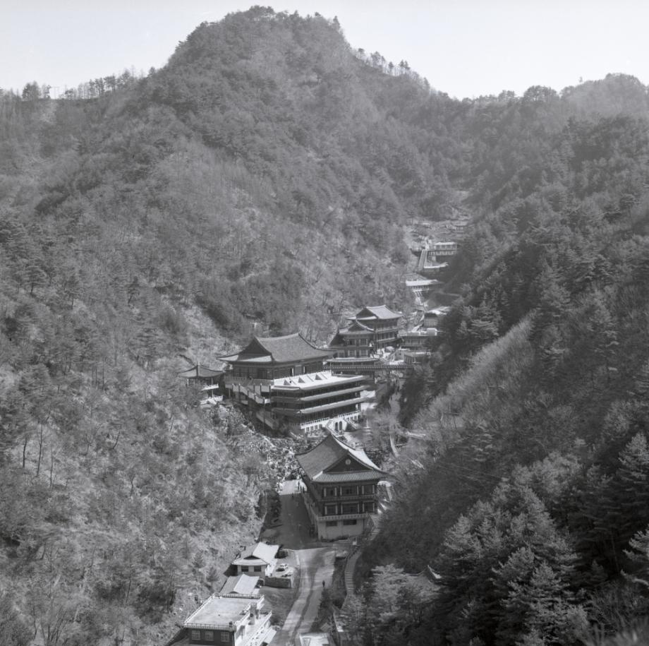 김운기 컬렉션이미지