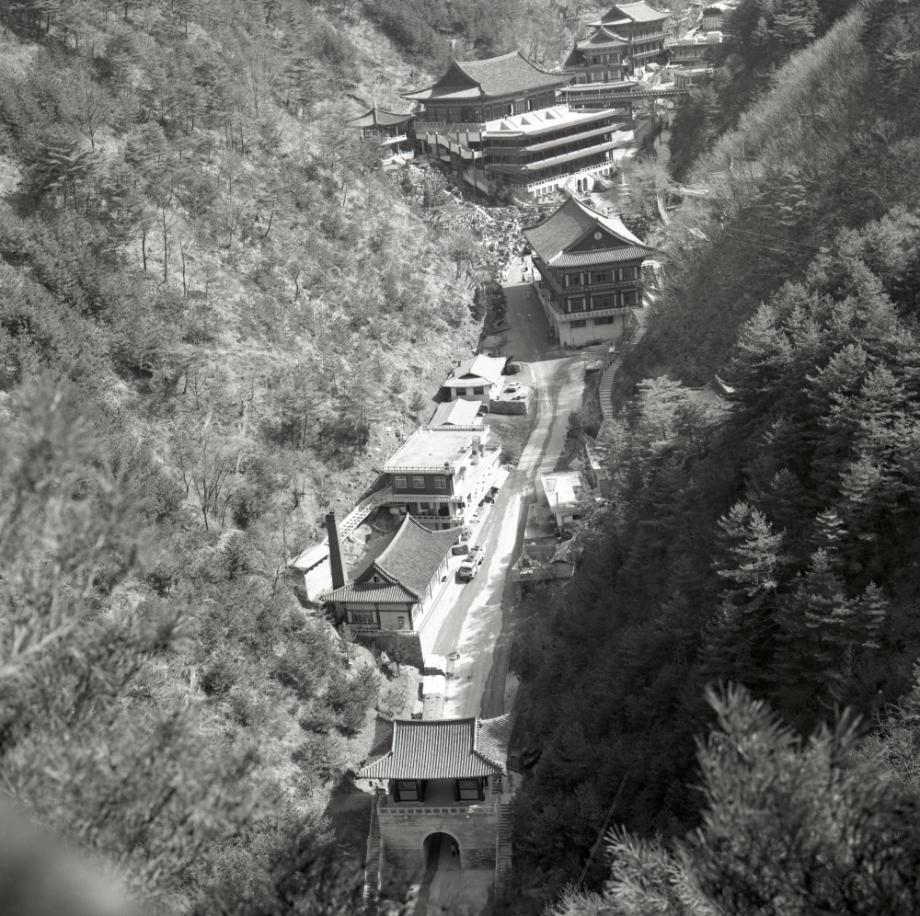 김운기 컬렉션이미지