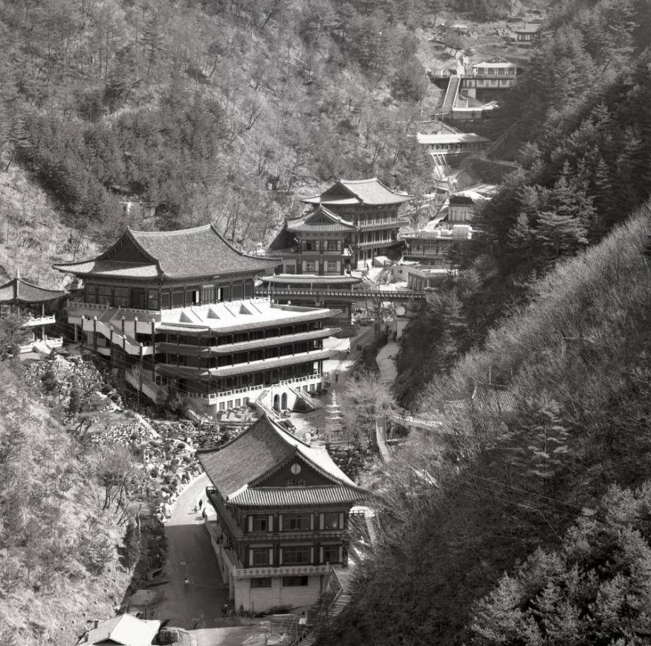 김운기 컬렉션이미지