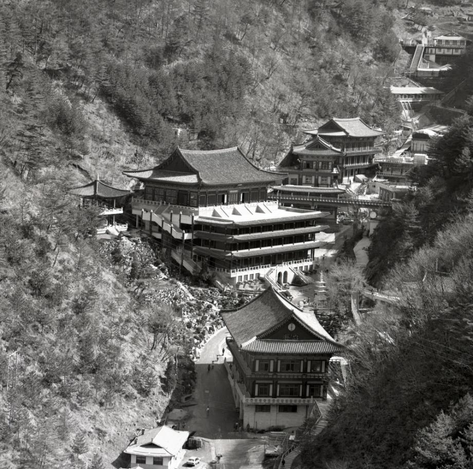 김운기 컬렉션이미지