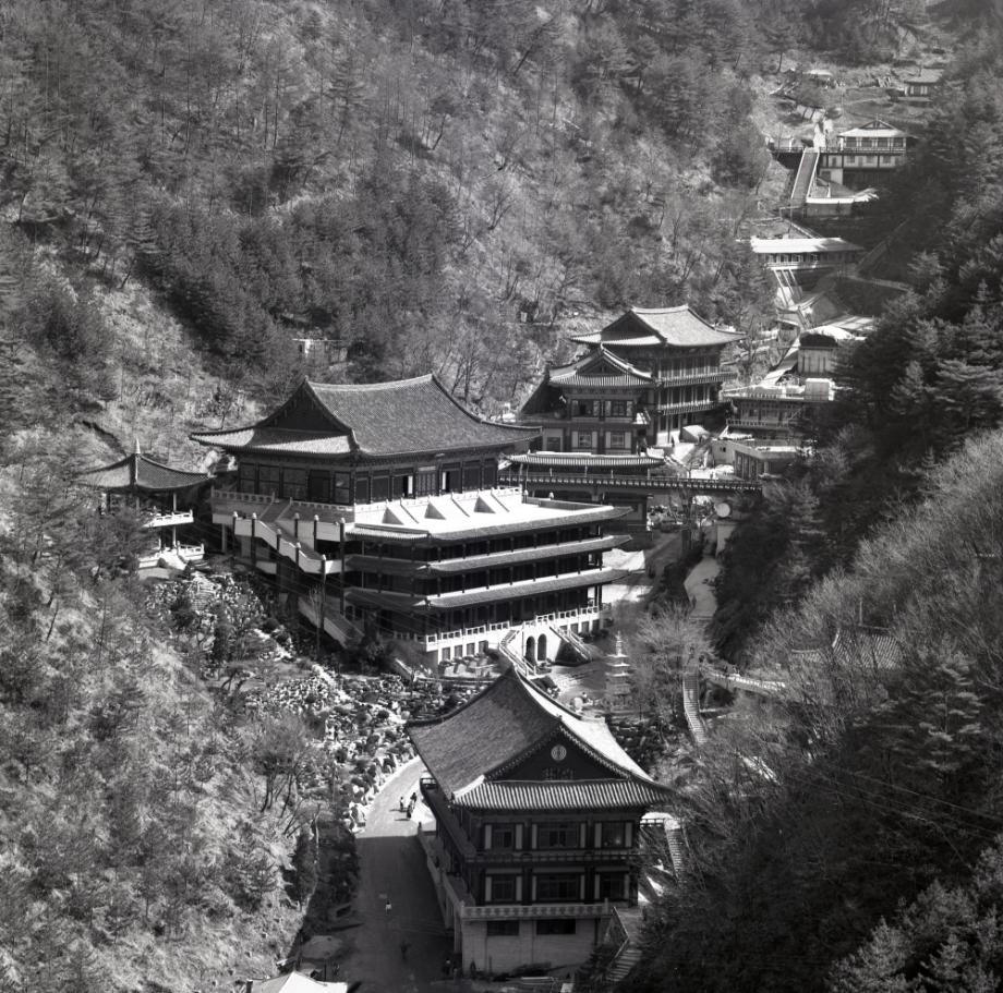 김운기 컬렉션이미지