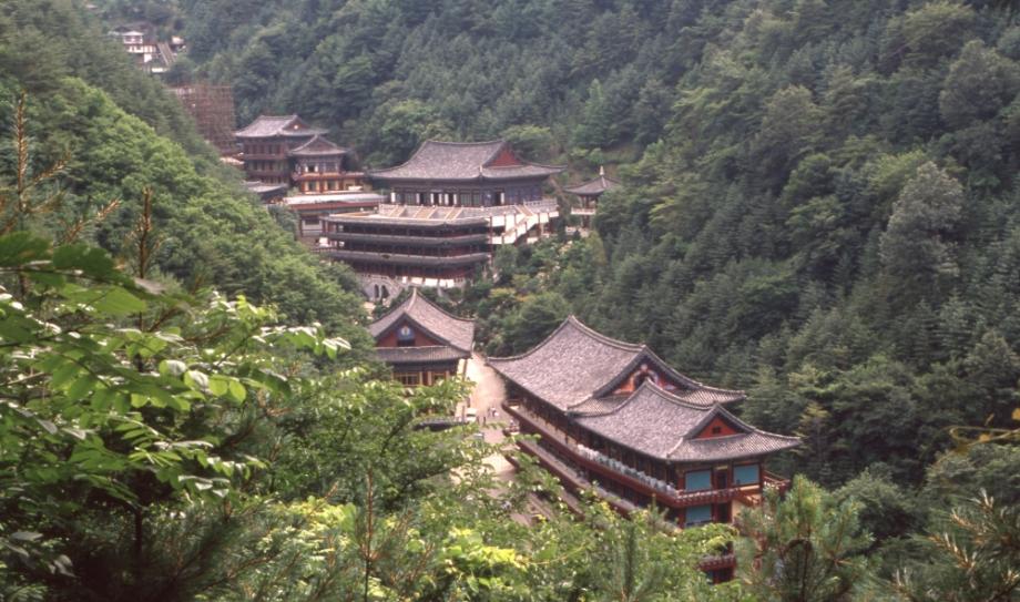 김운기 컬렉션이미지