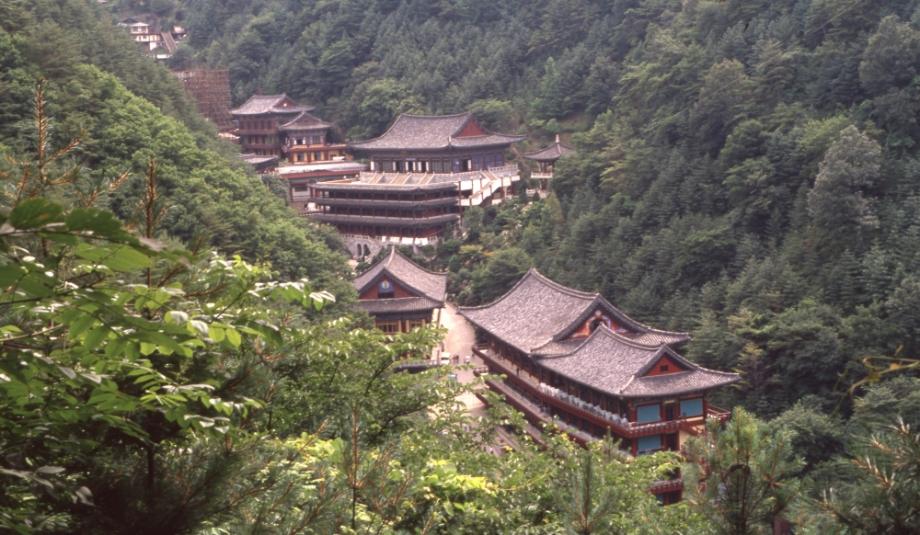 김운기 컬렉션이미지