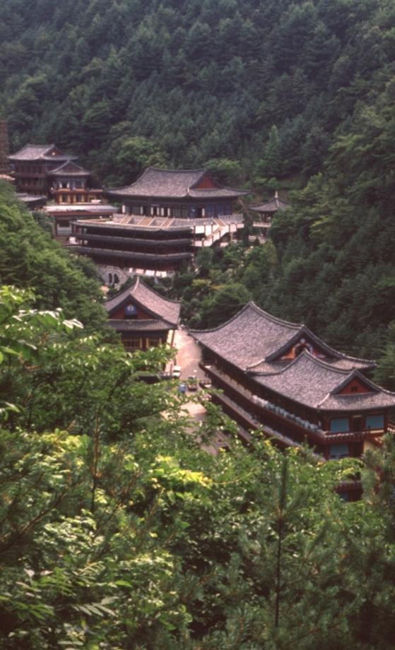 김운기 컬렉션이미지