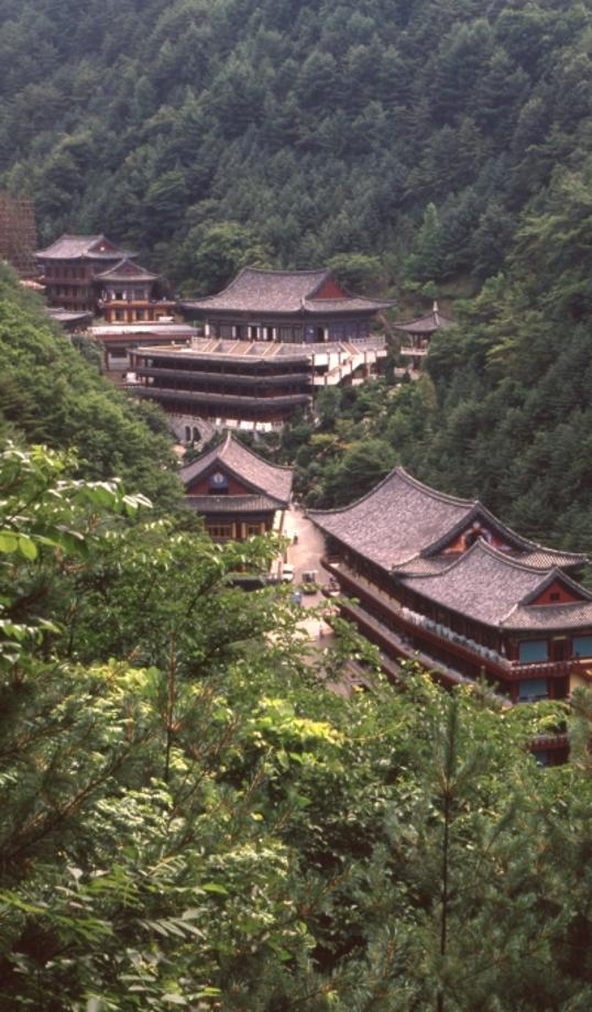 김운기 컬렉션이미지