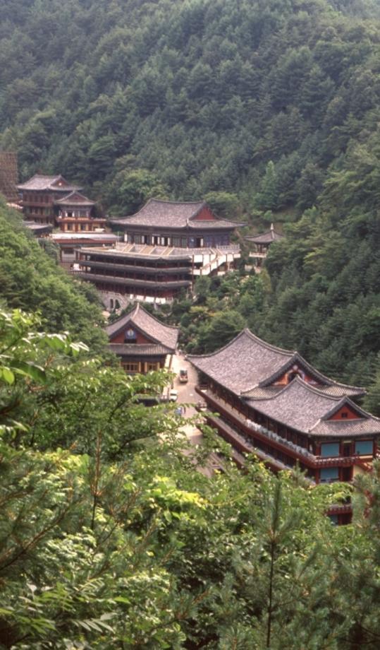 김운기 컬렉션이미지