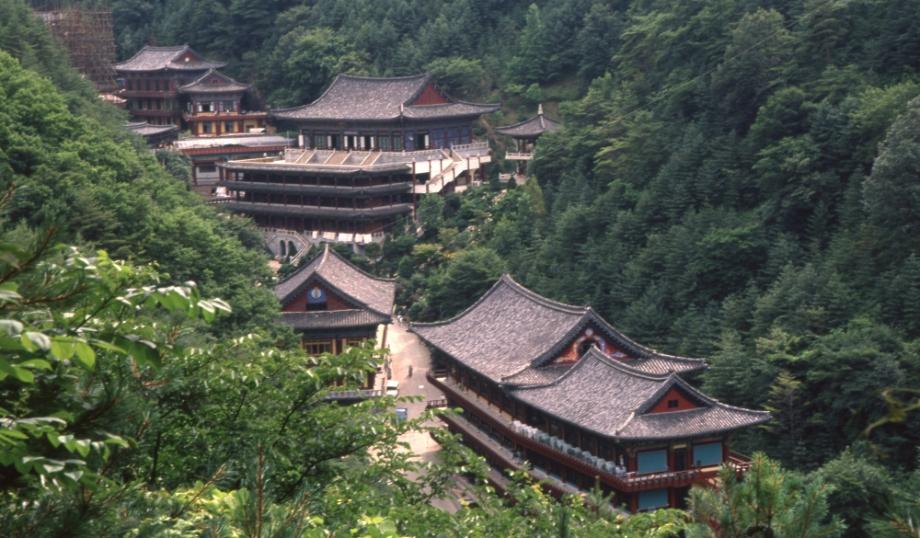 김운기 컬렉션이미지