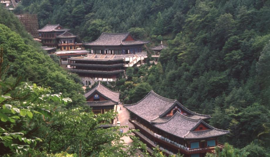 김운기 컬렉션이미지