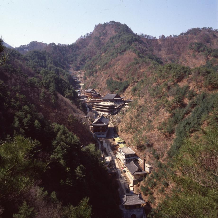 김운기 컬렉션이미지