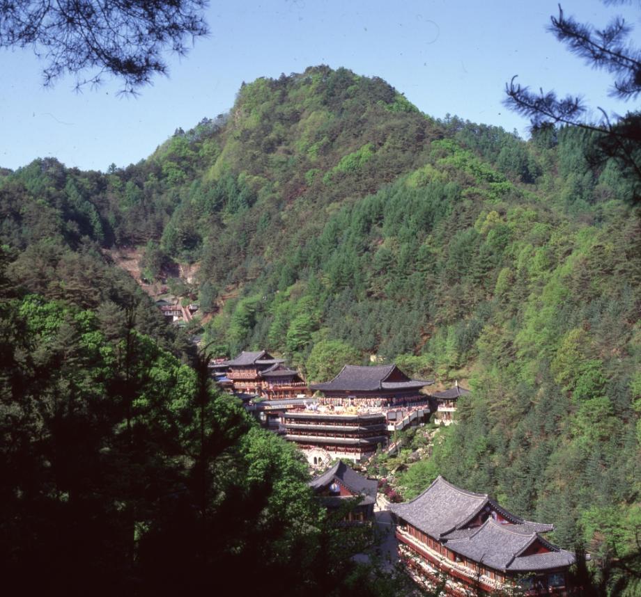 김운기 컬렉션이미지