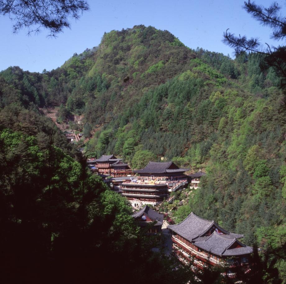 김운기 컬렉션이미지