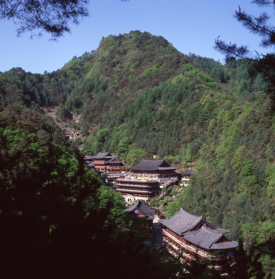 김운기 컬렉션이미지