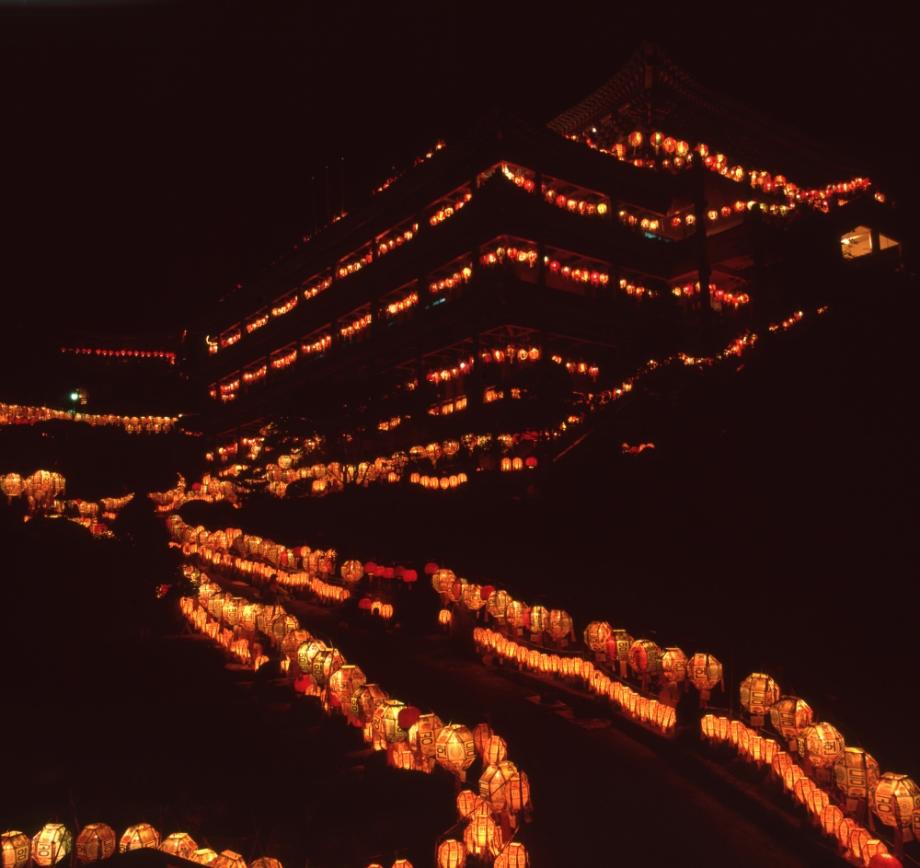 김운기 컬렉션이미지