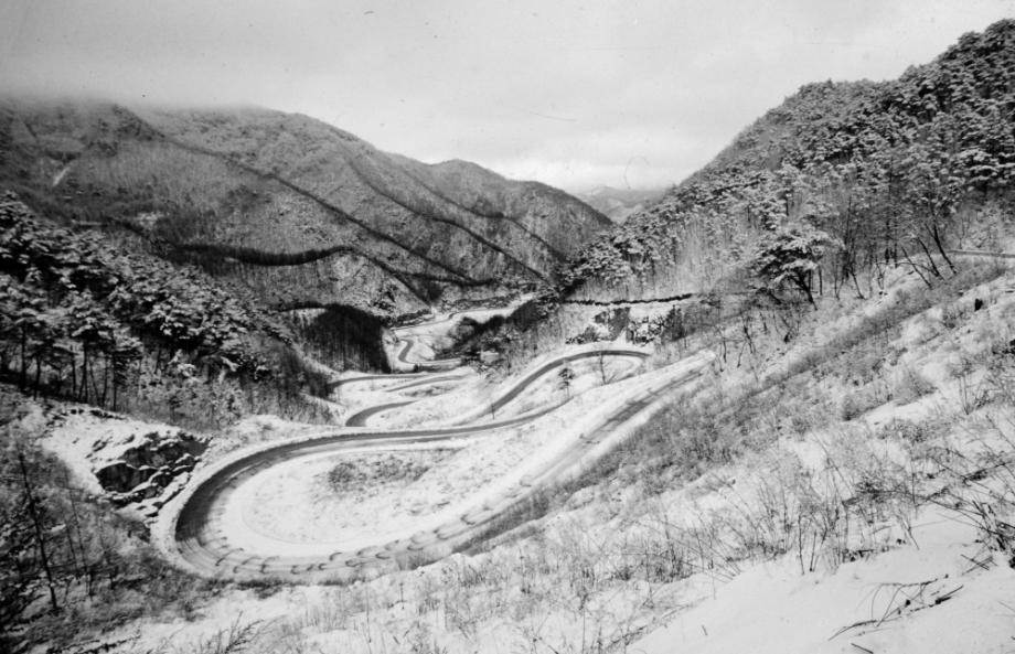 김운기 컬렉션이미지