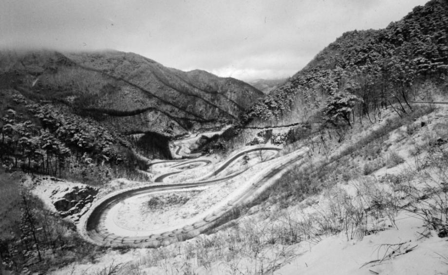 김운기 컬렉션이미지