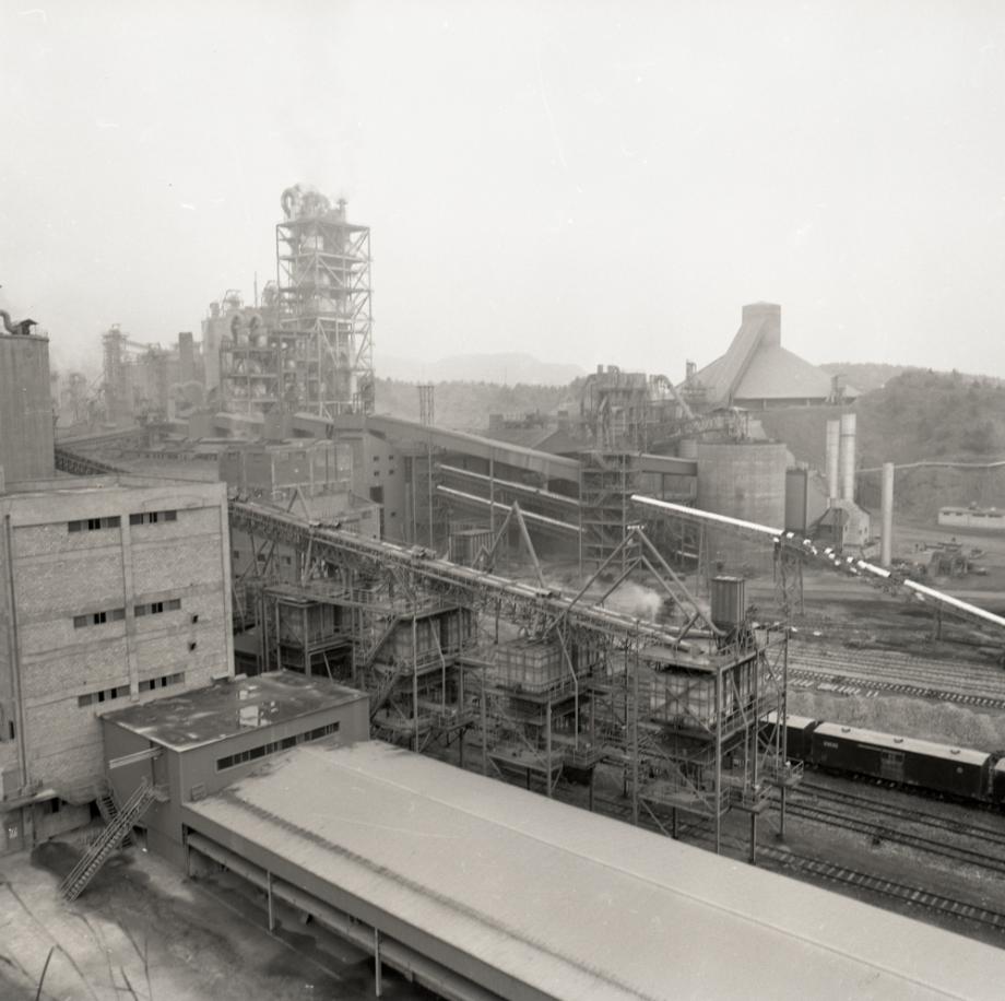 김운기 컬렉션이미지