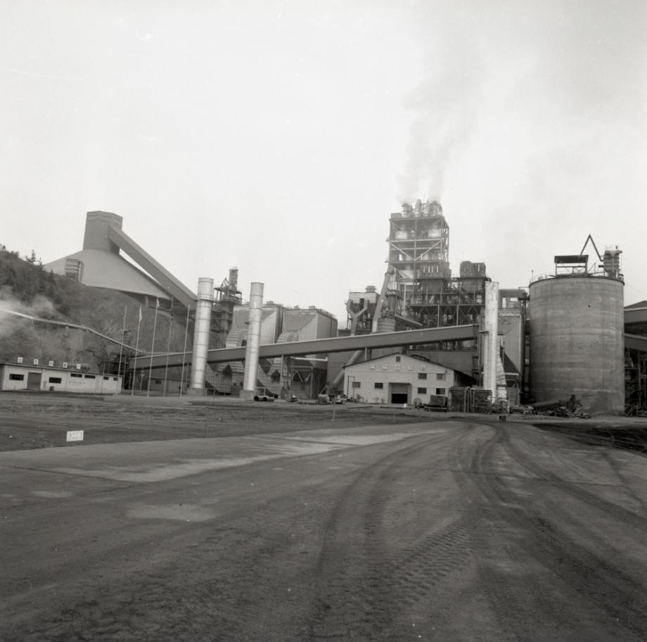 김운기 컬렉션이미지